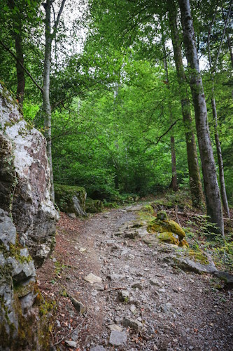 M3 Montafon MTB Marathon Schruns - Impressionen: der letzte Trail kurz vor Schruns