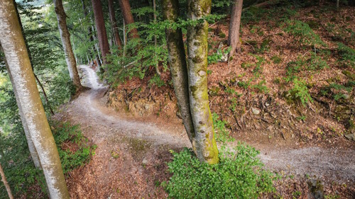 M3 Montafon MTB Marathon Schruns - Impressionen: der letzte Trail kurz vor Schruns